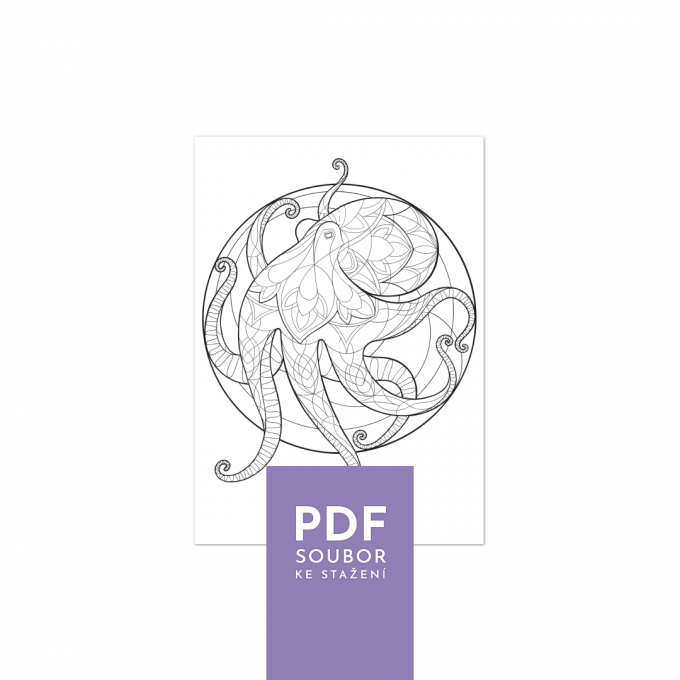 chobotnice - pdf omalovánka ke stažení