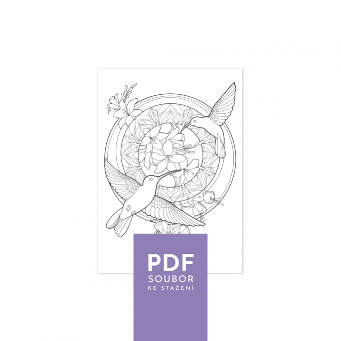 Kolibřík - pdf omalovánka ke stažení